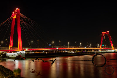 rotterdam-2019034.jpg