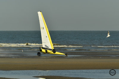 g12/97/1178097/3/171050702.C6ZX2FQb.jpg