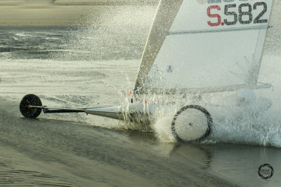 potjesregatta 2020 zon-2.jpg
