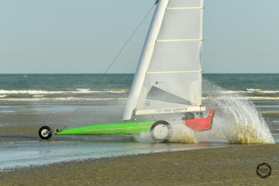 potjesregatta 2020 zon-30.jpg