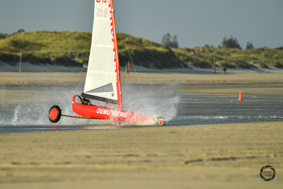 potjesregatta 2020 zon-31.jpg