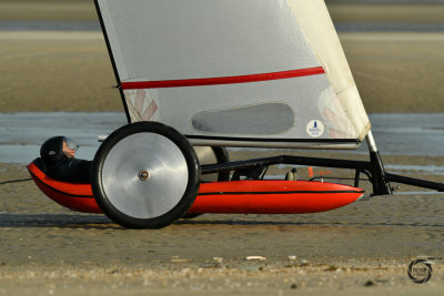 potjesregatta 2020 zon-41.jpg