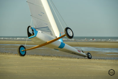 potjesregatta 2020 zon-64.jpg