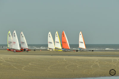 potjesregatta 2020 zon-71.jpg