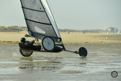 potjesregatta 2020 zon-80.jpg