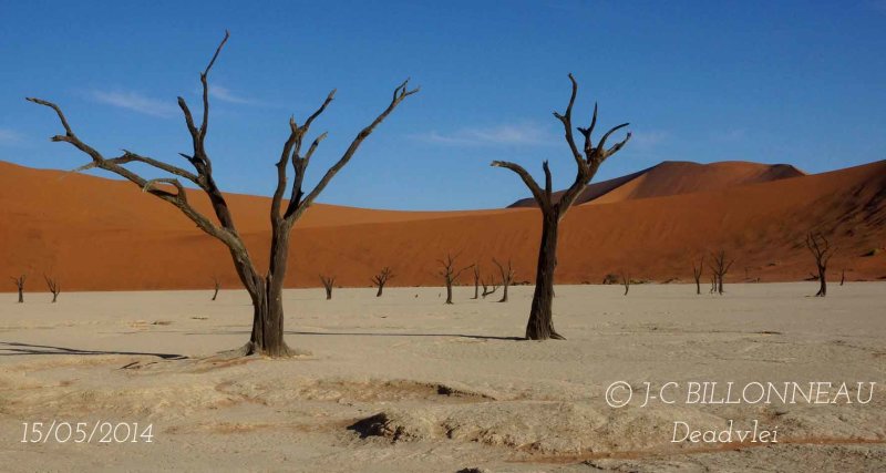 429-Deadvlei.jpg