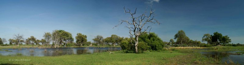 155 Okavango.jpg
