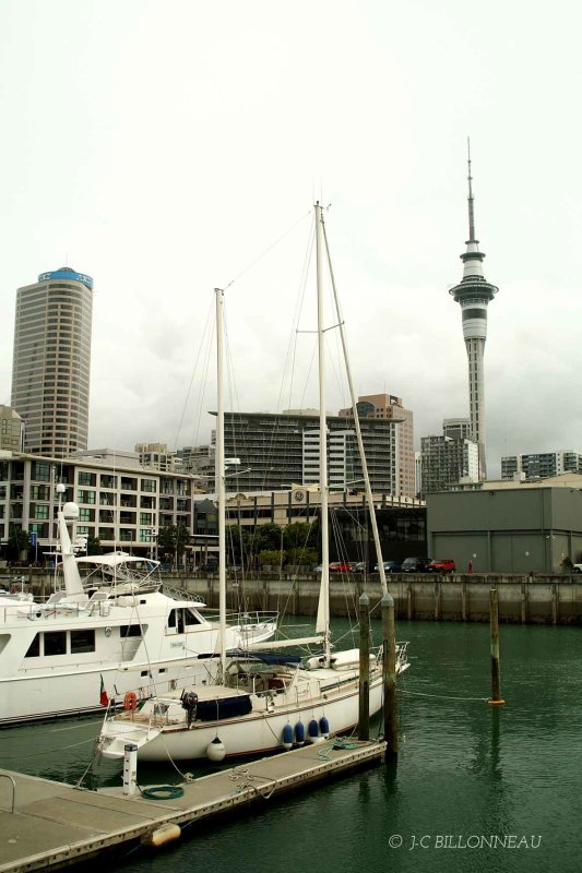 013-Aukland.jpg