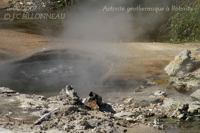 0032-Rotorua.jpg