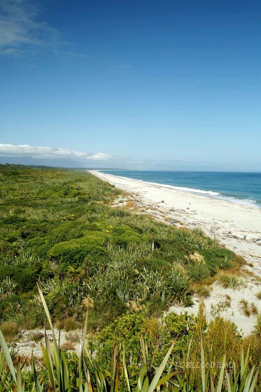 066-Île-du-Sud.jpg