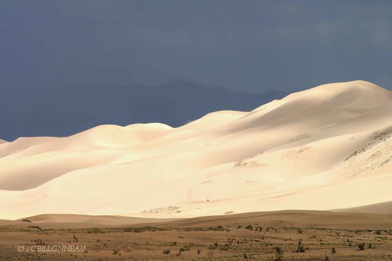 046 Dunes du Gobi - MONGOLIE.jpg