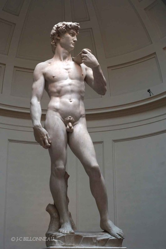 104 David de Michelange - FLORENCE.jpg