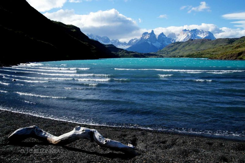 119-Parc-de-Torres-del-Paine - CHILI.jpg