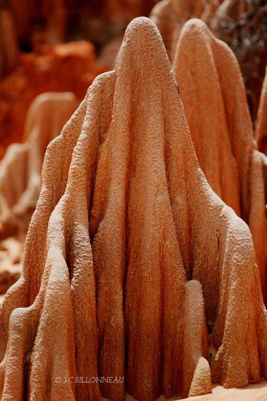 177-Tsingy-rouges - MADAGASCAR.jpg