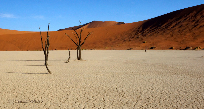 207 Sossusvlei - NAMIBIE.JPG