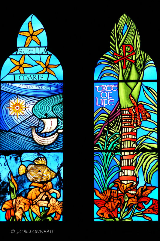 008.10 Cathédrale Aukland.jpg