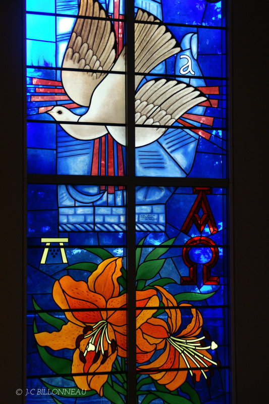 008.11 Cathédrale Aukland.jpg