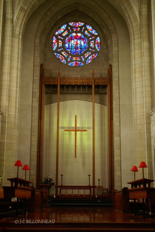 008.14 Cathédrale Aukland.jpg