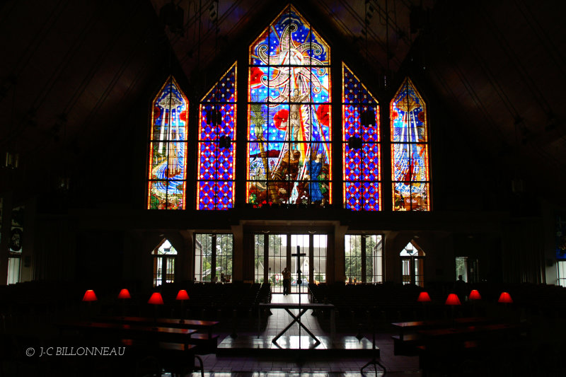 008.15 Cathédrale Aukland.jpg