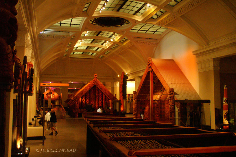 011.4 Musée Aukland.jpg