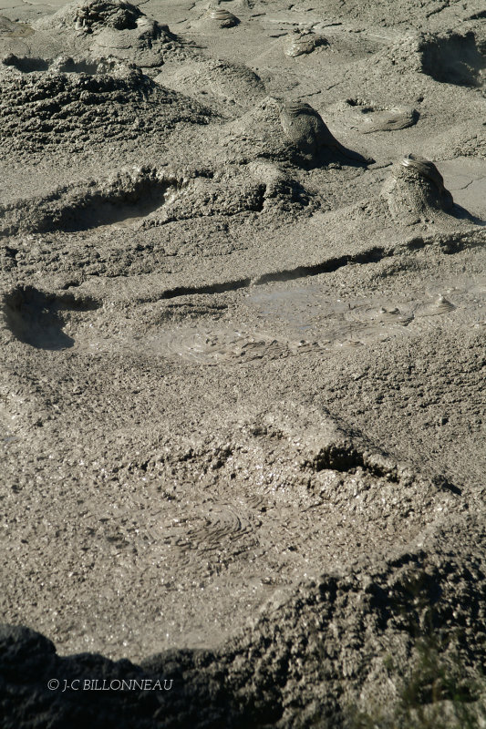 031.2 Rotorua.jpg