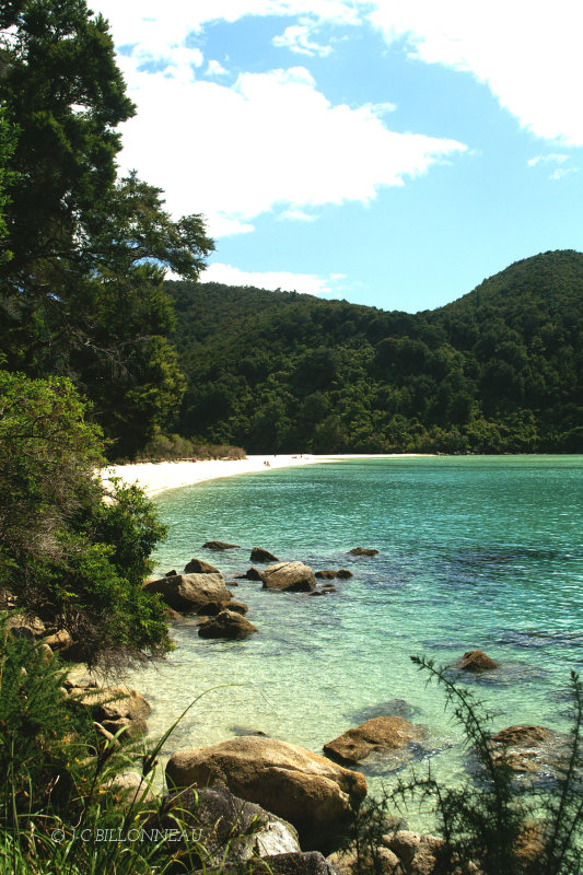 053.9 Baie de Tasman.jpg