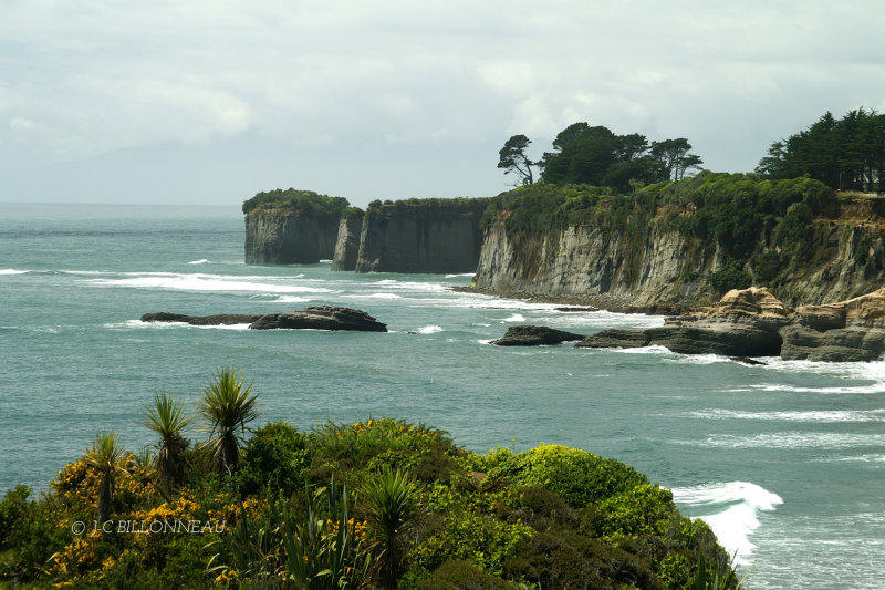 057.3 Côte Ile du Sud.jpg