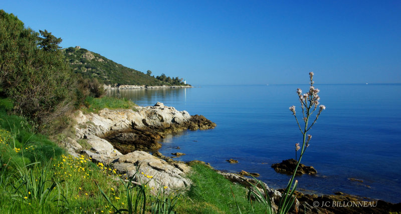 037 Golfe de St-Florent.JPG