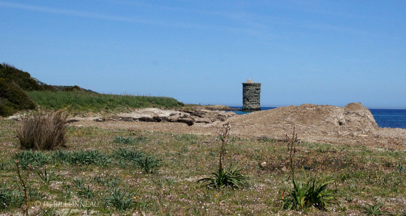 082 Marche à Maccinagio.jpg