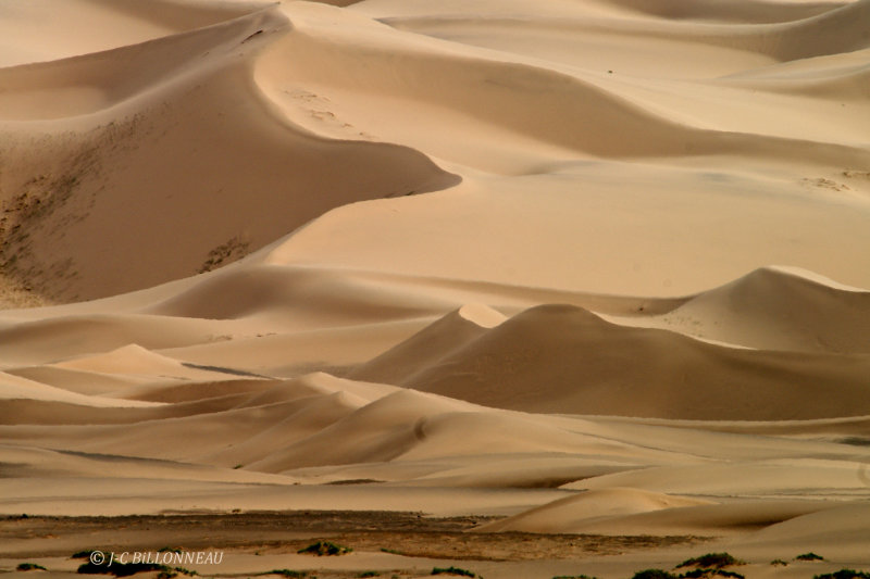 28.3 Dunes du Gobi.jpg