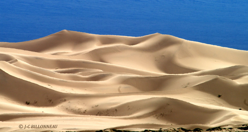 28.4 Dunes du Gobi.jpg