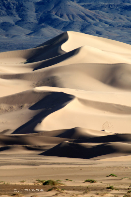 29.1 Dunes du Gobi.jpg