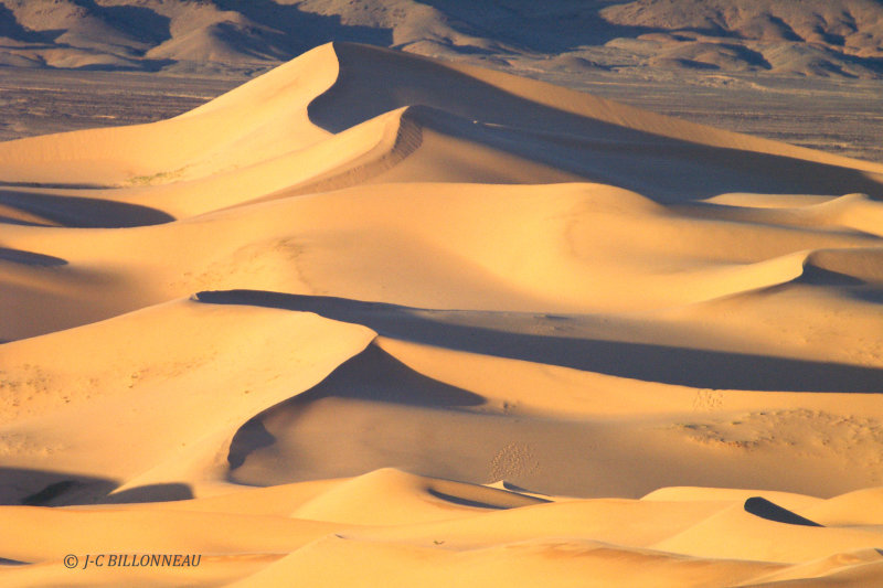 29.4 Dunes du Gobi.jpg