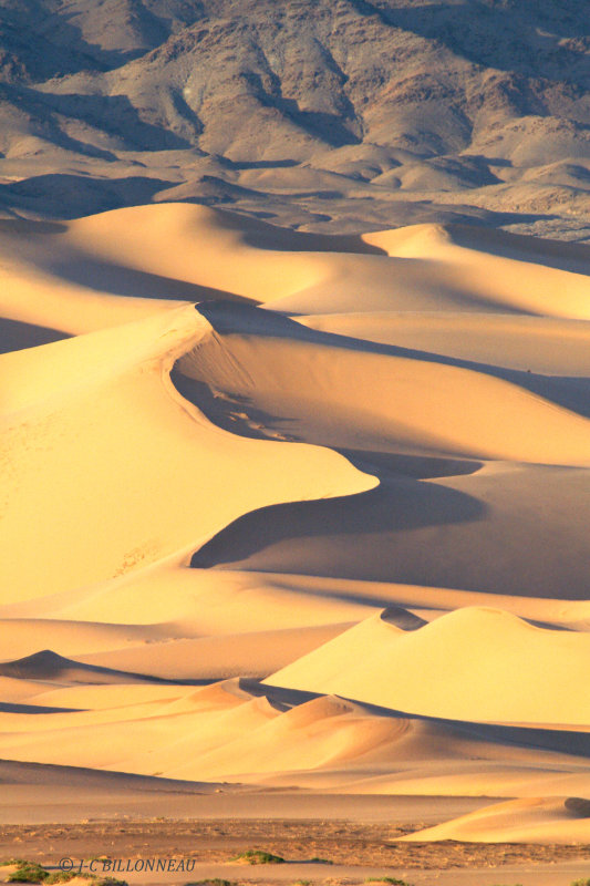 29.5 Dunes du Gobi.jpg