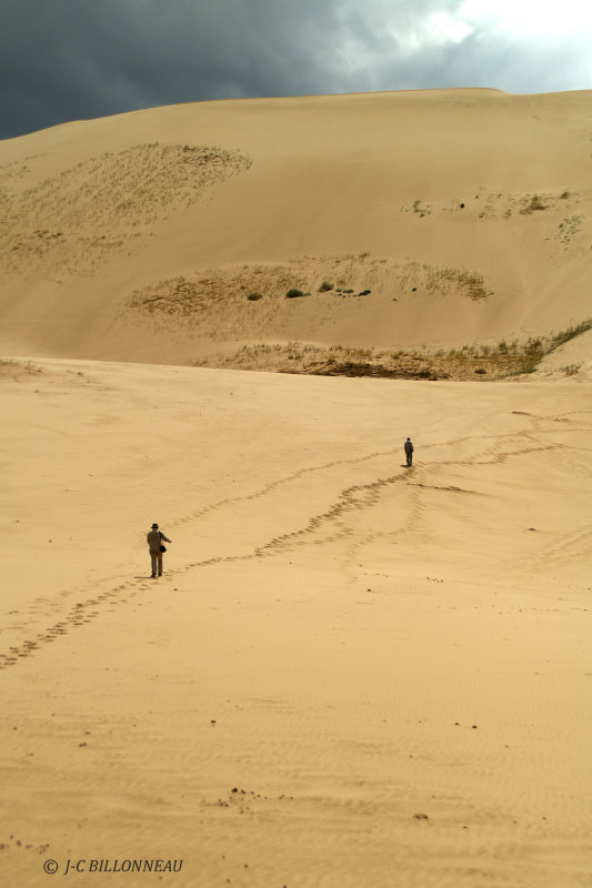 033.2 Dunes du Gobi.jpg