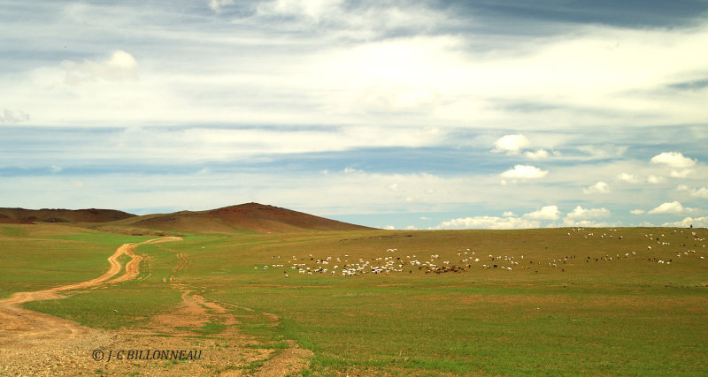 035.9 Mongolie.jpg