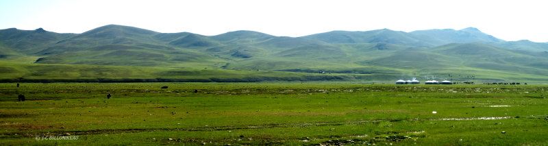 043.5 Mongolie.jpg