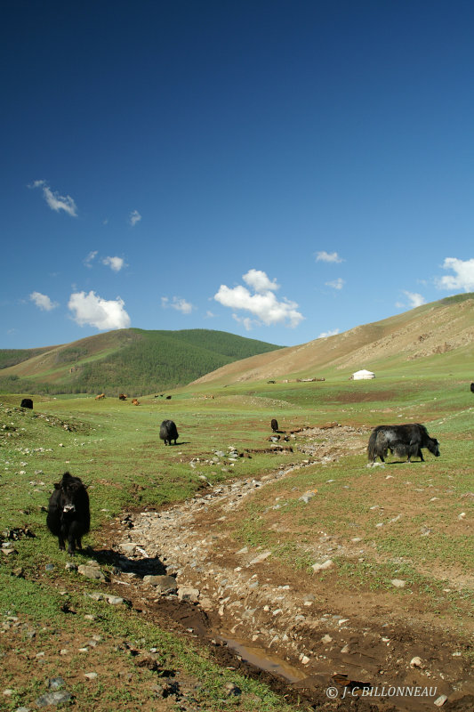 043.6 Mongolie.jpg
