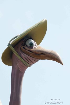 019-Fallas.jpg