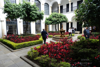 007 Muse Botero.JPG