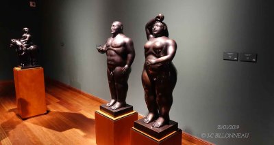 018 Adn - Eva-BOTERO.jpg