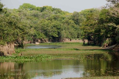 021 Llanos.jpg