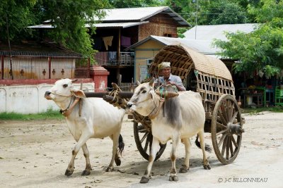 032-Mingun.jpg