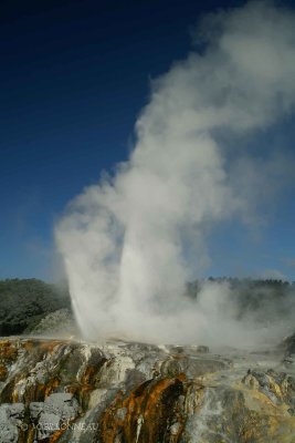 034-Geyser à Rotorua.jpg