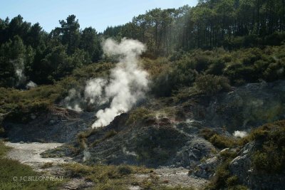 035-Rotorua.jpg