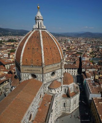 023 Duomo vu du Campanile.jpg