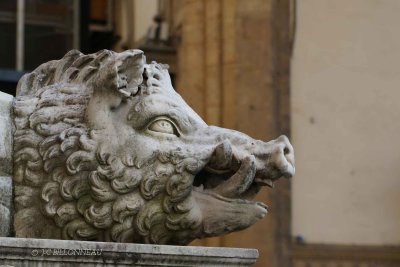 050 Loggia della Signoria.jpg