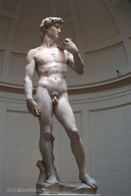 090 David de Michelangelo.JPG