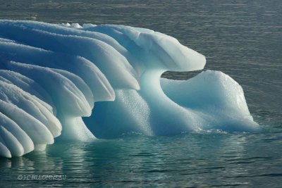 134-Bourguignon - SVALBARD.jpg