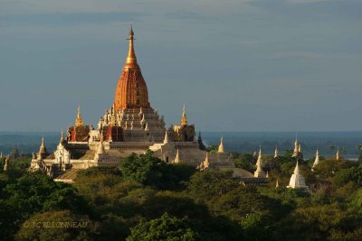 186 Bagan - MYANMAR.jpg